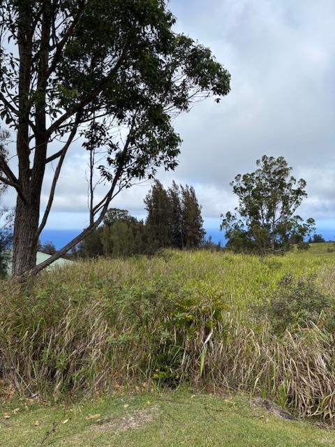 Palikekua St, Honokaa, HI 96727