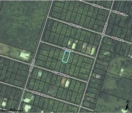 Hilo Rd, Pahoa, HI 96778 - photo 1