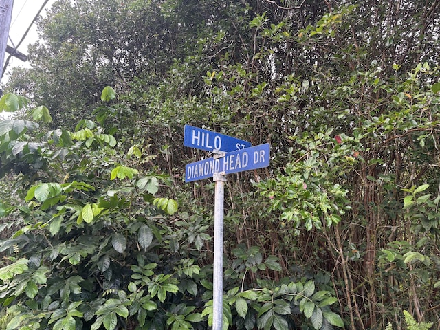 Hilo St, Pahoa, HI 96778 - photo 6