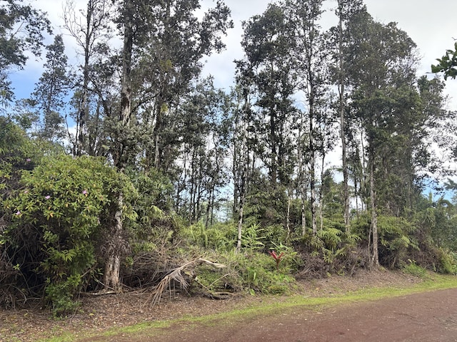 Hilo St, Pahoa, HI 96778 - photo 1