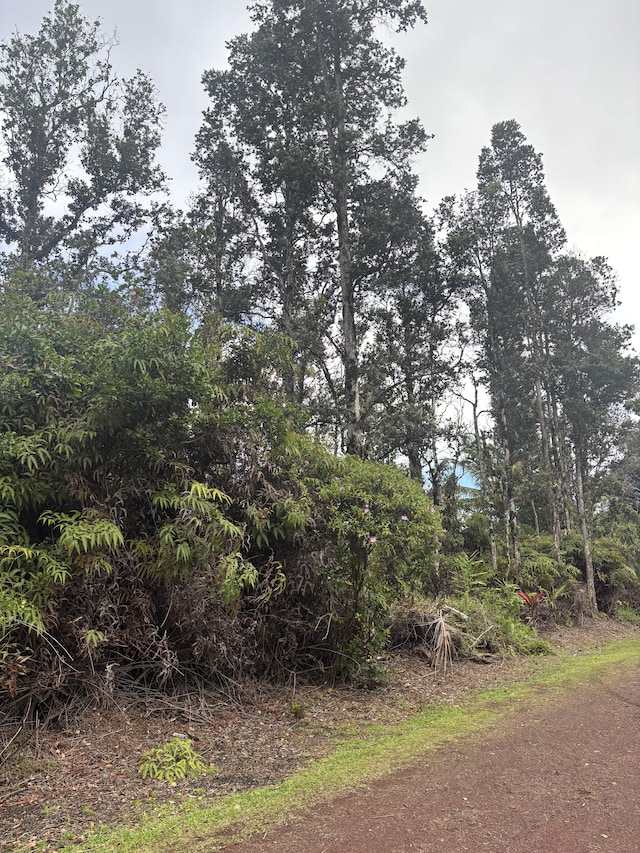 Hilo St, Pahoa, HI 96778 - photo 4