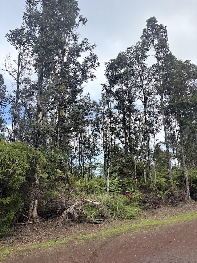 Hilo St, Pahoa, HI 96778 - photo 5