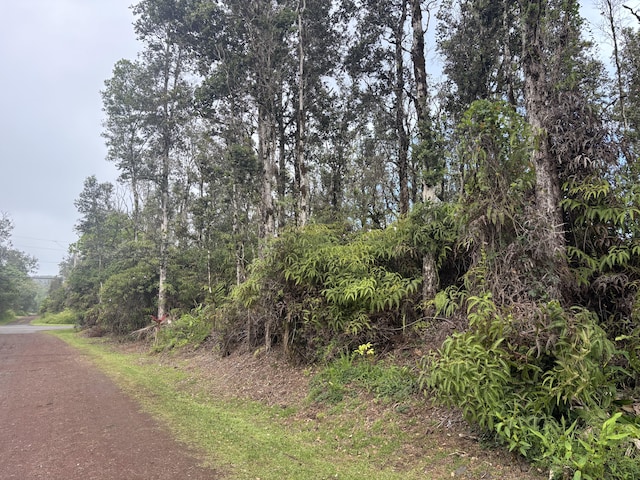 Hilo St, Pahoa, HI 96778 - photo 3