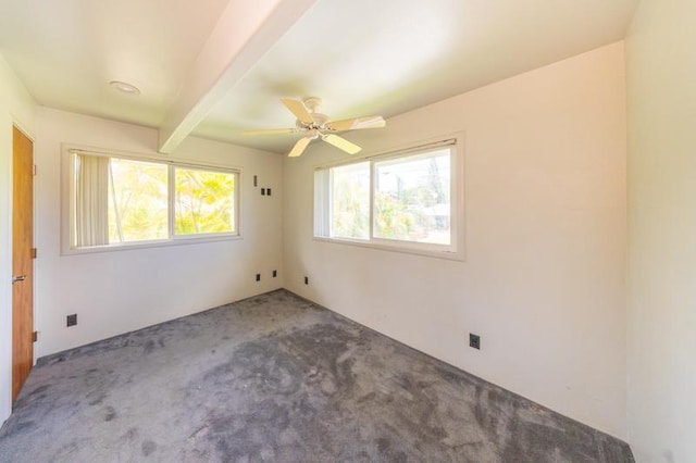 6707 Puu Pilo Pl, Kapaa, HI 96746 - photo 10