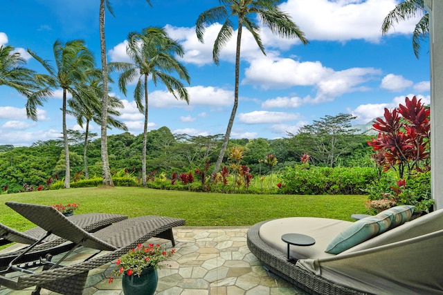 4100 Queen Emmas Dr Unit 4, Princeville, HI 96722 - photo 18