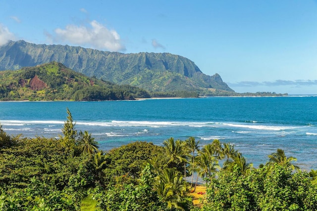 5380 Honoiki Rd Unit C15, Princeville, HI 96722 - photo 29