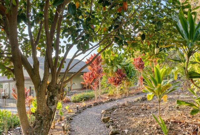 73-4652 Kohanaiki Rd Unit A, Kailua-Kona, HI 96740 - photo 25