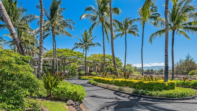 69-200 Pohakulana Pl Unit A22, Waikoloa, HI 96738 - photo 23