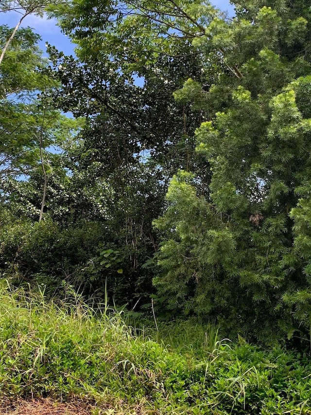 15-1747 9th Ave, Keaau, HI 96749 - photo 1