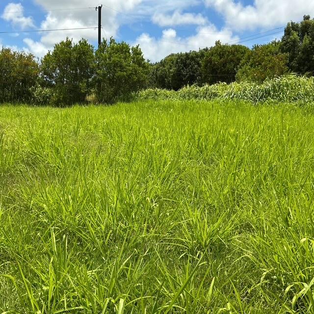 6346 Kawaihau Rd, Kapaa, HI 96746 - photo 1