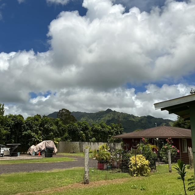6346 Kawaihau Rd, Kapaa, HI 96746 - photo 3