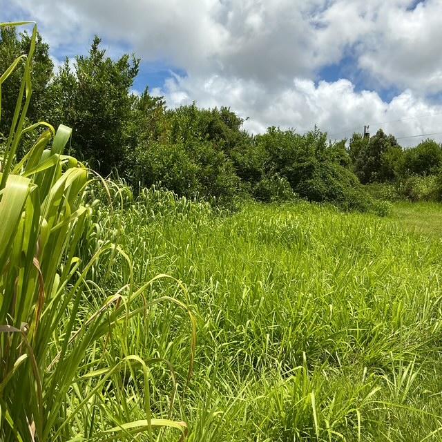 6346 Kawaihau Rd, Kapaa, HI 96746 - photo 5