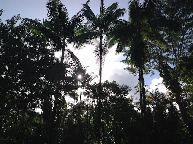 Mako Way, Pahoa, HI 96778 - photo 3