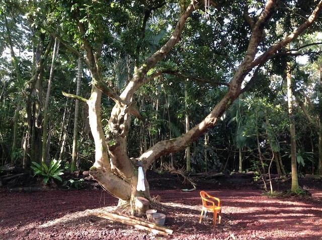 Mako Way, Pahoa, HI 96778 - photo 7