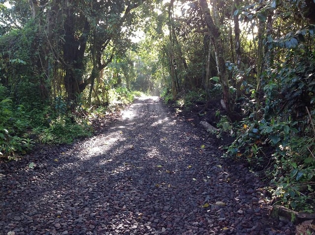Mako Way, Pahoa, HI 96778 - photo 8