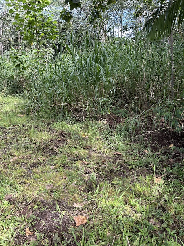 Mako Way, Pahoa, HI 96778 - photo 9
