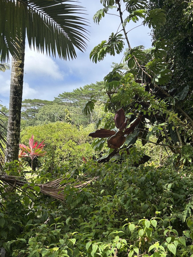 Mako Way, Pahoa, HI 96778 - photo 12