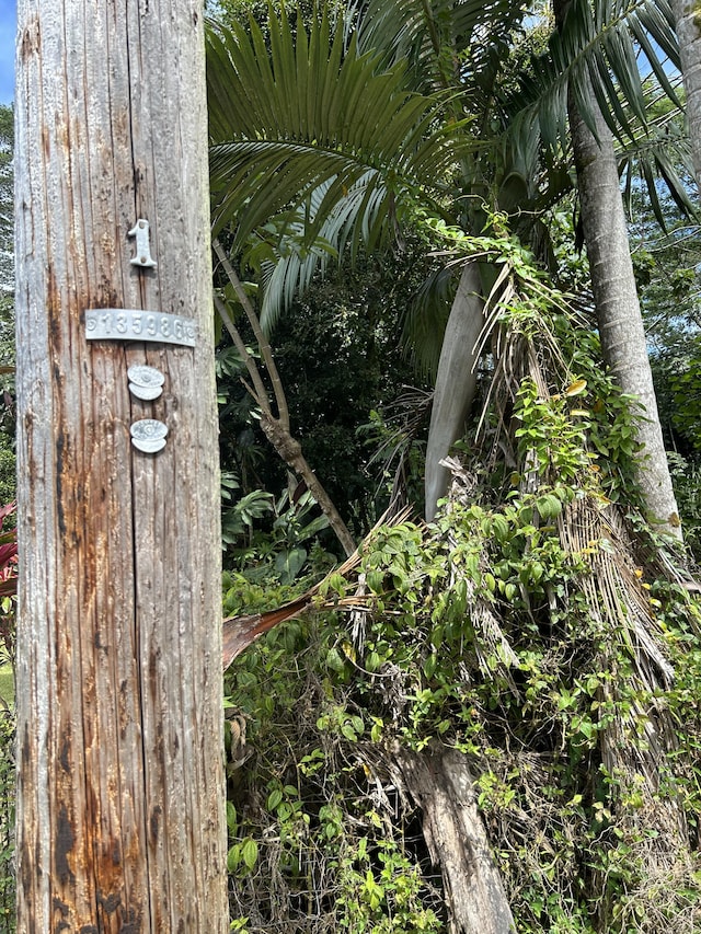 Mako Way, Pahoa, HI 96778 - photo 14