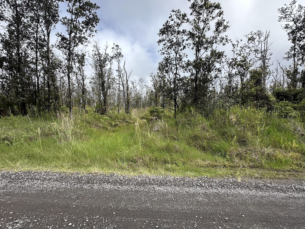 Kaleponi Dr, Volcano, HI 96785 - photo 1