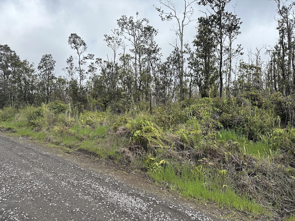 Kaleponi Dr, Volcano, HI 96785 - photo 2