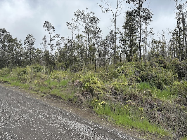 Kaleponi Dr, Volcano, HI 96785 - photo 2