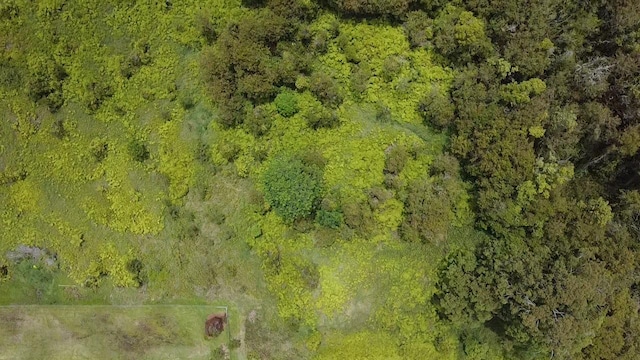 Ainaola Dr, Hilo, HI 96720 - photo 2