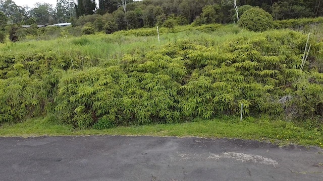 Ainaola Dr, Hilo, HI 96720 - photo 3