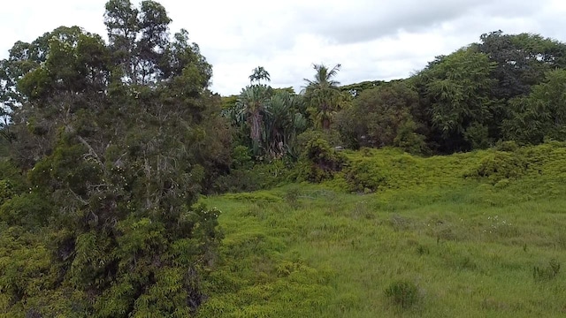 Ainaola Dr, Hilo, HI 96720 - photo 5