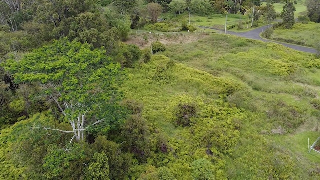Ainaola Dr, Hilo, HI 96720 - photo 6