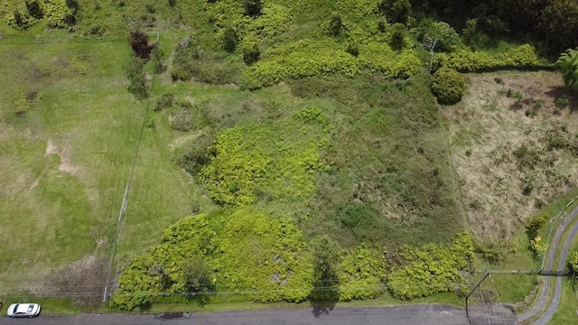 Ainaola Dr, Hilo, HI 96720 - photo 7
