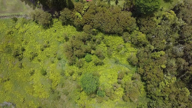 Ainaola Dr, Hilo, HI 96720 - photo 8