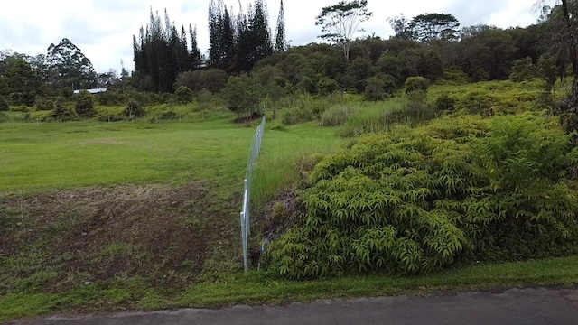 Ainaola Dr, Hilo, HI 96720 - photo 9