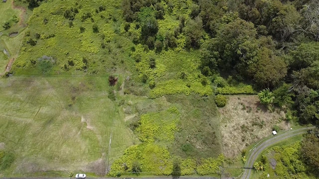 Ainaola Dr, Hilo, HI 96720 - photo 10