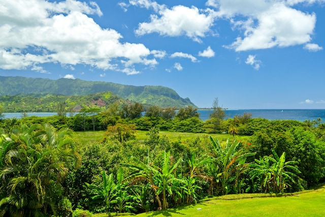 5380 Honoiki Rd Unit J31 7301/7302, Princeville, HI 96722 - photo 2