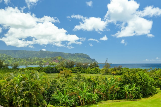 5380 Honoiki Rd Unit J31 7301/7302, Princeville, HI 96722 - photo 13
