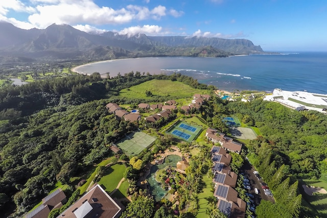 5380 Honoiki Rd Unit J31 7301/7302, Princeville, HI 96722 - photo 29