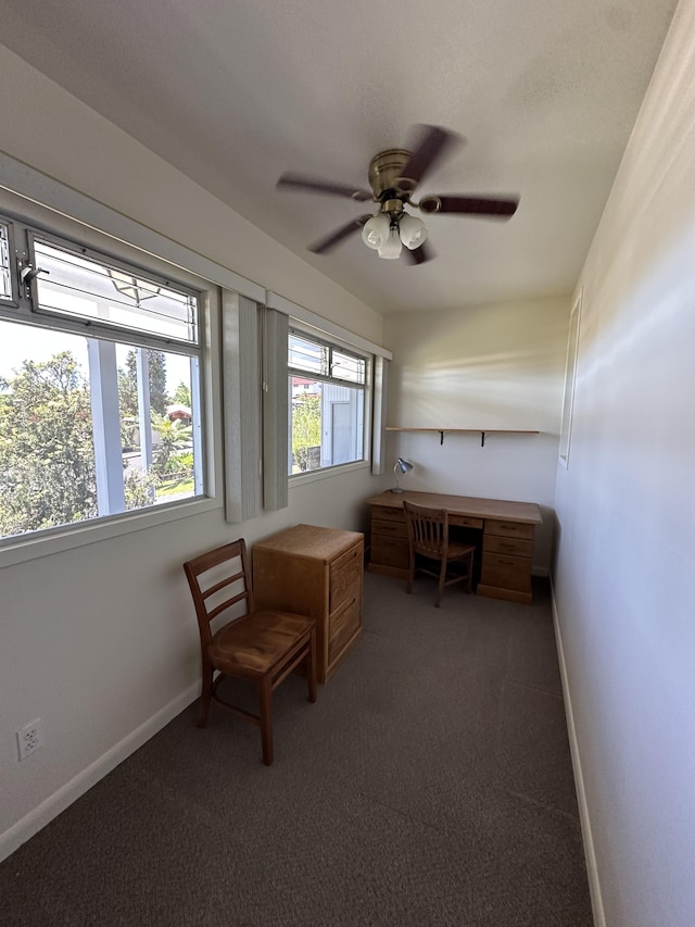 1088 Apono Pl, Hilo, HI 96720 - photo 7