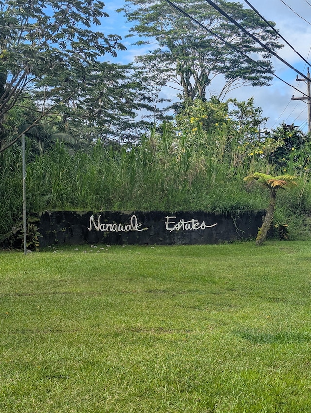Seadrift Rd, Pahoa, HI 96778 - photo 1