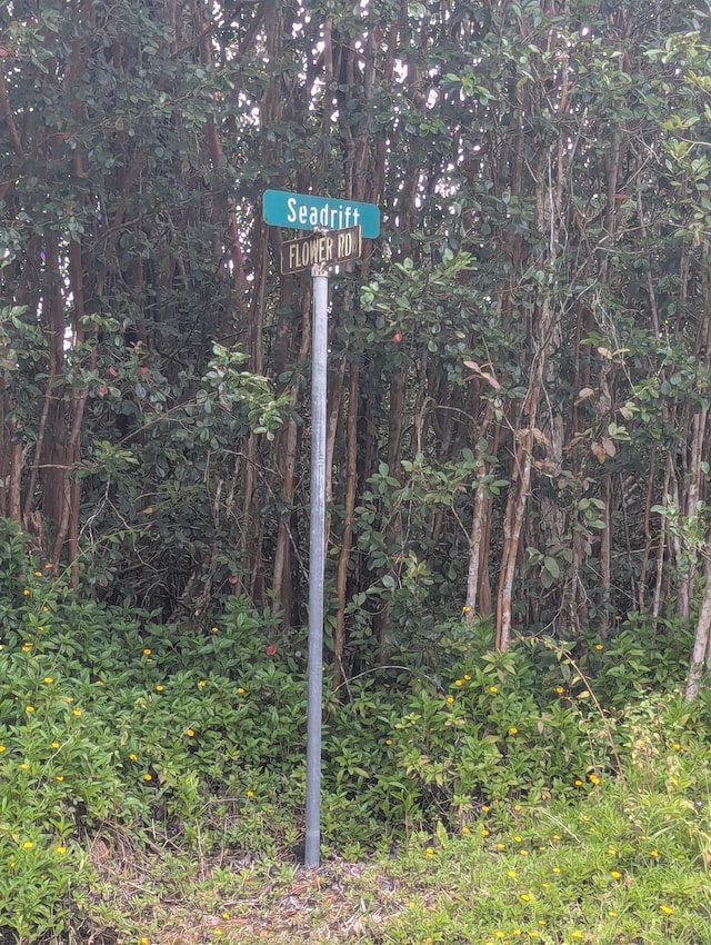 Seadrift Rd, Pahoa, HI 96778 - photo 2
