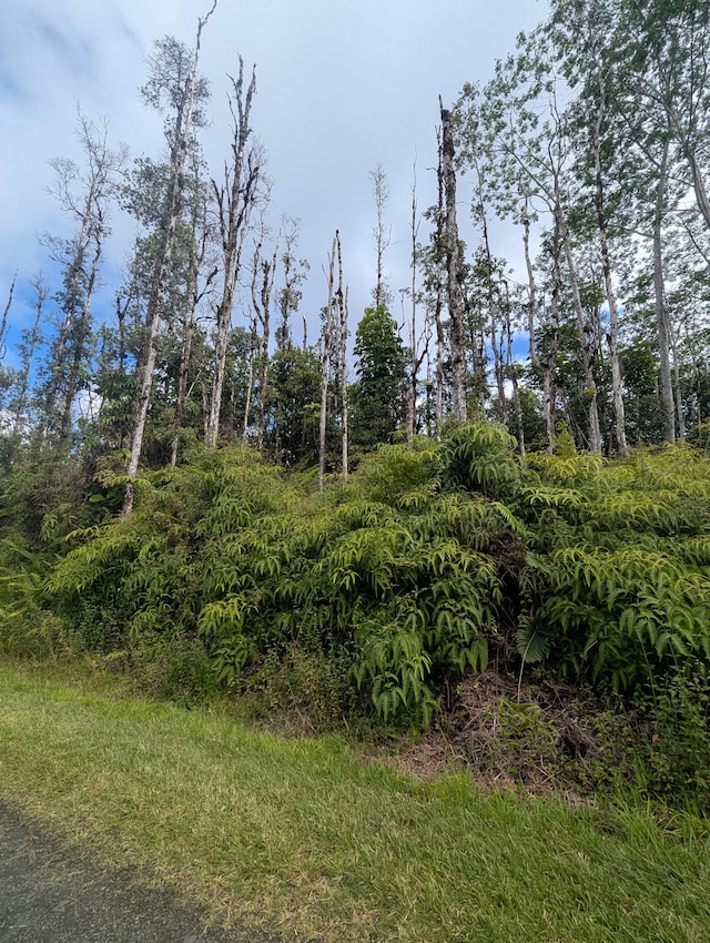 Seadrift Rd, Pahoa, HI 96778 - photo 4