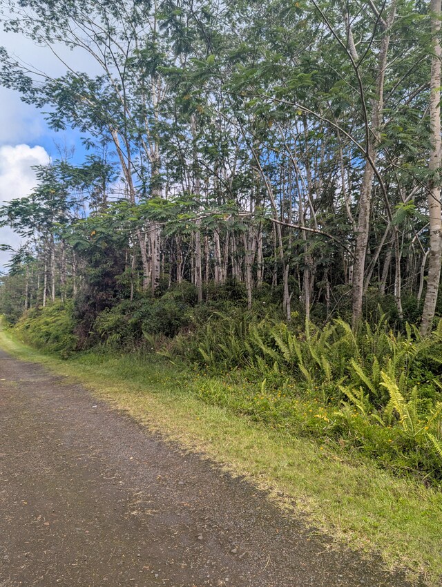 Seadrift Rd, Pahoa, HI 96778 - photo 5