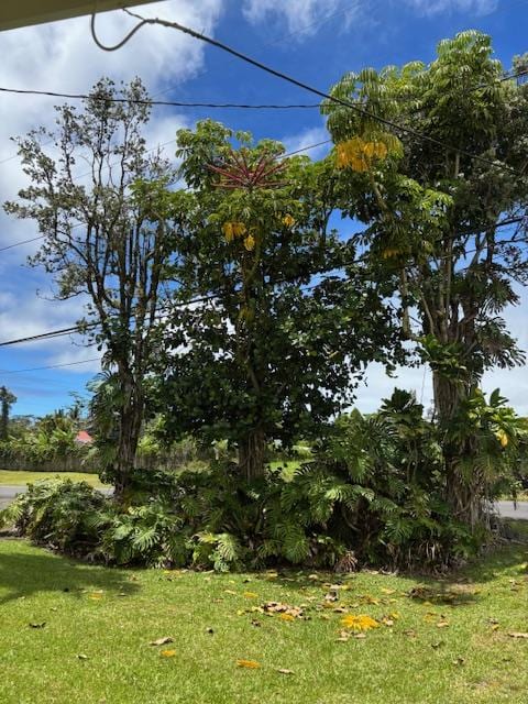16-2032 King Kamehameha Blvd, Pahoa, HI 96778 - photo 29