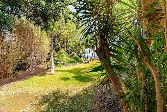 68-1624 Kilakila St, Waikoloa, HI 96738 - photo 20