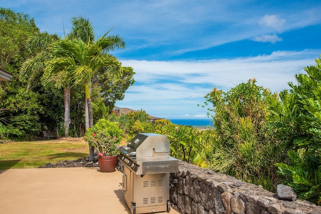68-1624 Kilakila St, Waikoloa, HI 96738 - photo 22