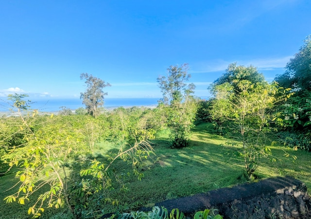 73-4609 Kukuki St, Kailua-Kona, HI 96740 - photo 19