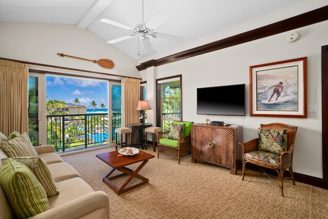 4-820 Kuhio Hwy Unit E406, Kapaa, HI 96746 - photo 8