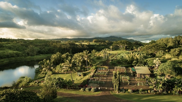 5033 Lau Nahele St, Koloa, HI 96756 - photo 27