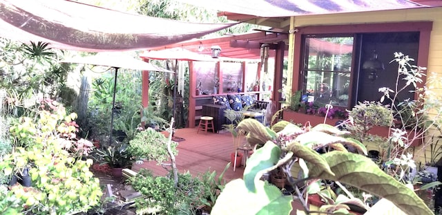 35-2064 Old Mamalahoa Hwy, Laupahoehoe, HI 96764 - photo 6