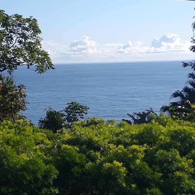 35-2064 Old Mamalahoa Hwy, Laupahoehoe, HI 96764 - photo 2