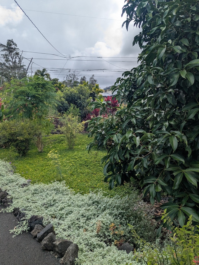 15-2757 Mahimahi St, Pahoa, HI 96778 - photo 21